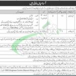 Pakistan Army New Jobs 2024 for LDC